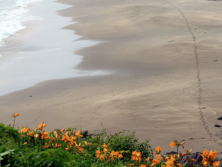IMG_2012.06.22B.jpg