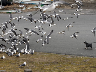 IMG_2013.03.16.jpg