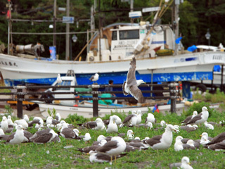 IMG_2013.07.10.jpg